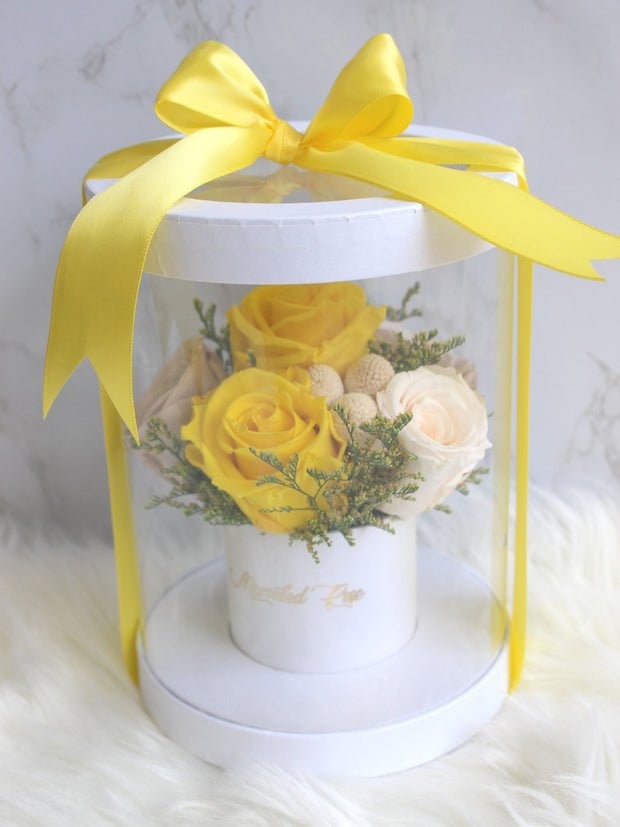 Cylinder Rose Box