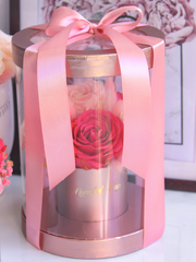 Cylinder Rose Pink Box