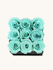 #color_color-tiffany-blue